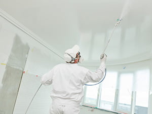 Expert House Painters